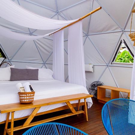 Ecohotel Monte Tierra Habitaciones Y Glamping Filandia Exteriör bild