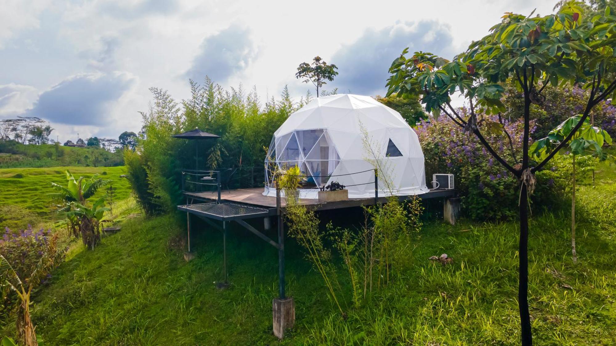 Ecohotel Monte Tierra Habitaciones Y Glamping Filandia Exteriör bild