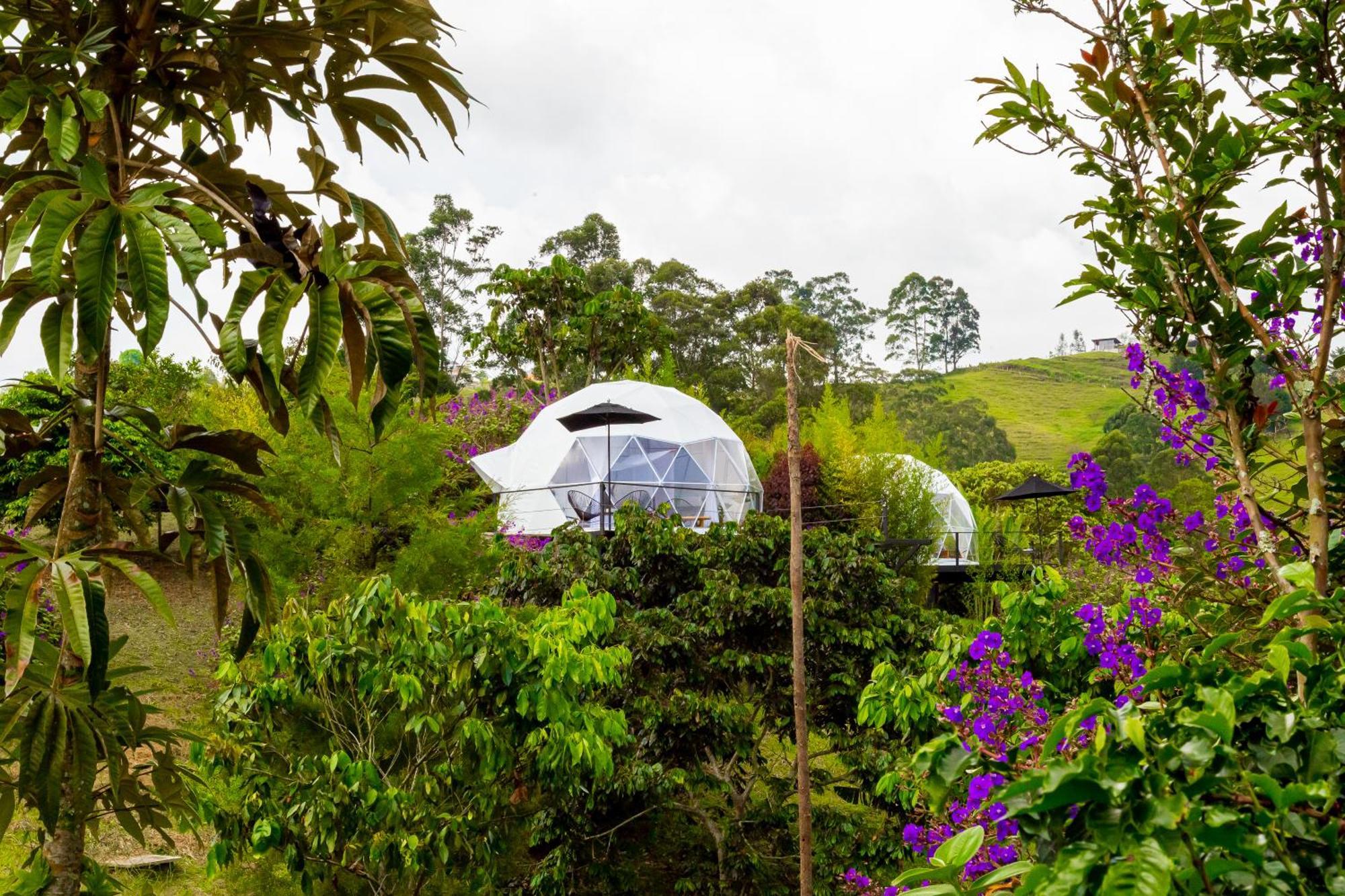 Ecohotel Monte Tierra Habitaciones Y Glamping Filandia Rum bild